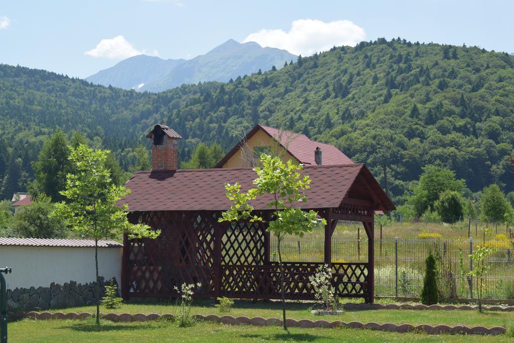 Pensiunea Mountain King Sîmbăta de Sus Exterior foto
