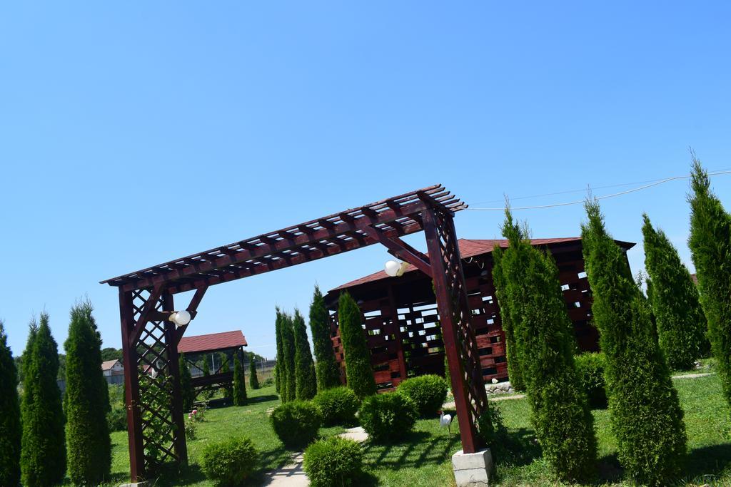 Pensiunea Mountain King Sîmbăta de Sus Exterior foto