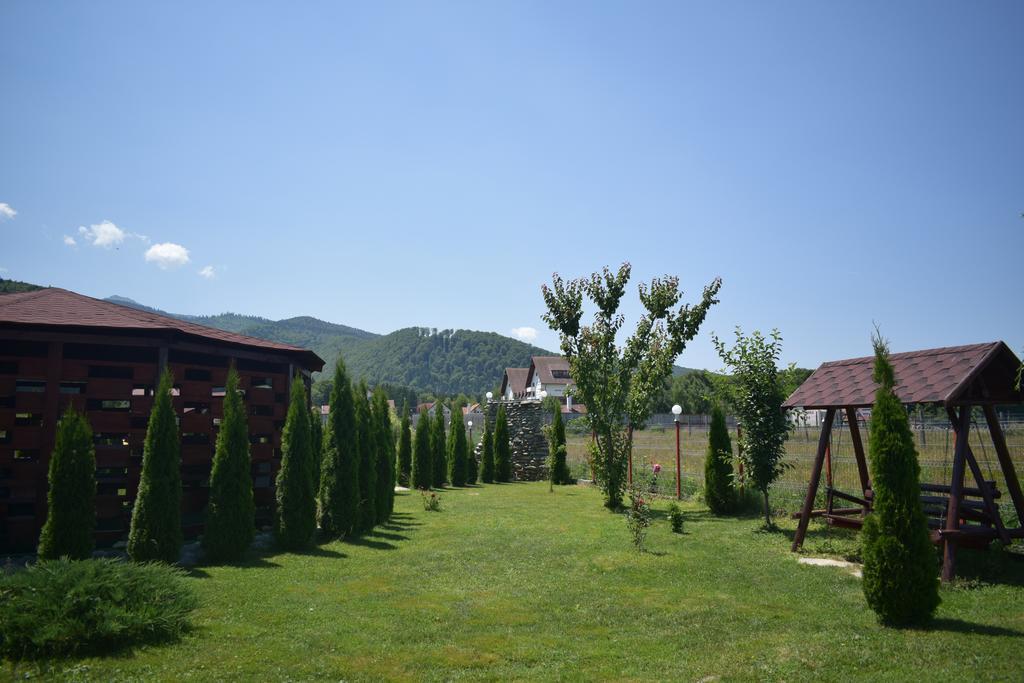 Pensiunea Mountain King Sîmbăta de Sus Exterior foto