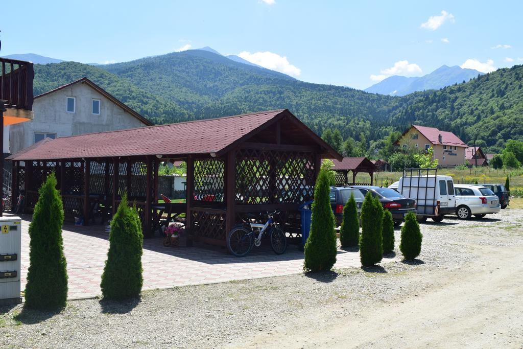 Pensiunea Mountain King Sîmbăta de Sus Exterior foto