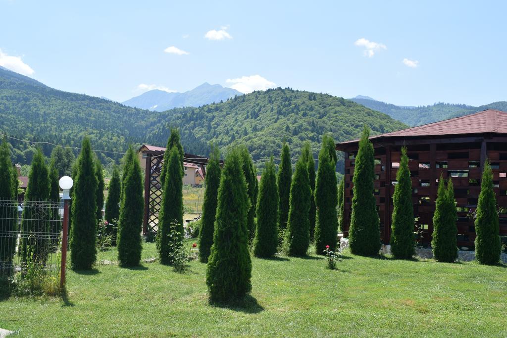 Pensiunea Mountain King Sîmbăta de Sus Exterior foto